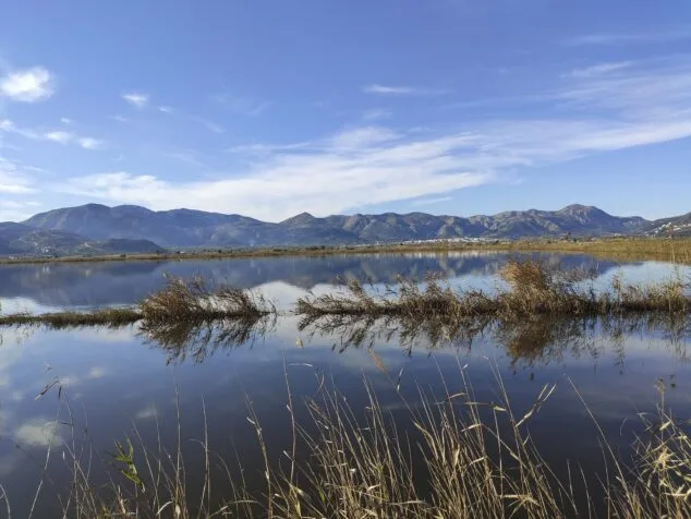 Pego programa una cita con Estell, el águila pescadora de la Marjal, para celebrar el Día de los Humedales 1 Imagen: Parque natural de la Marjal de Pego