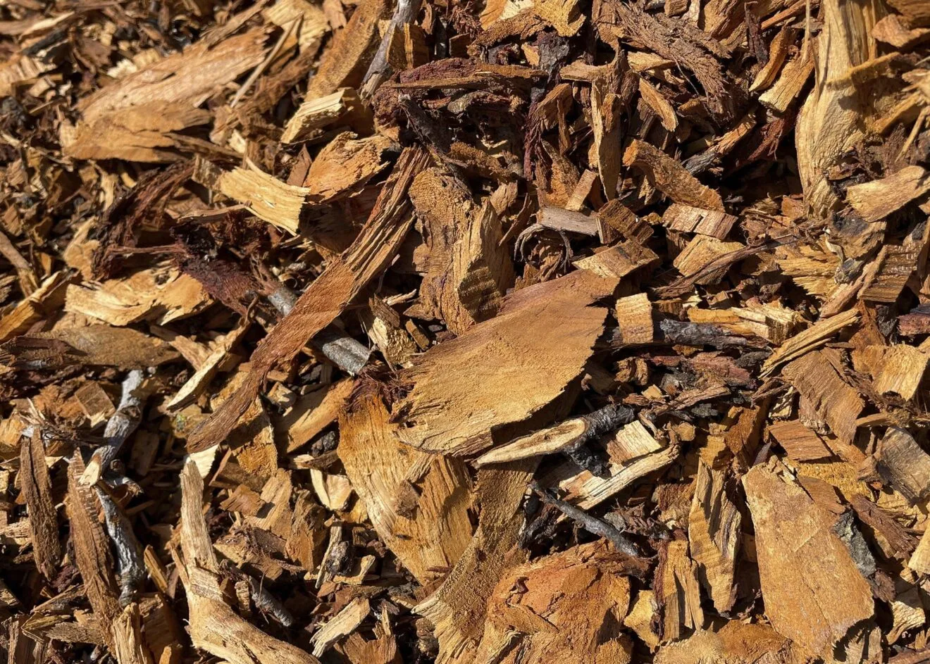 Virutas de almendro