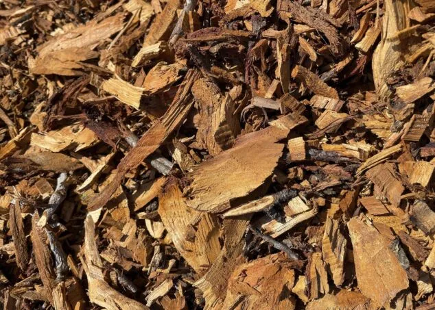 virutas de almendro