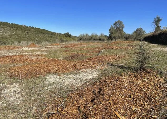 Imagen: Virutas de almendros tras la trituración