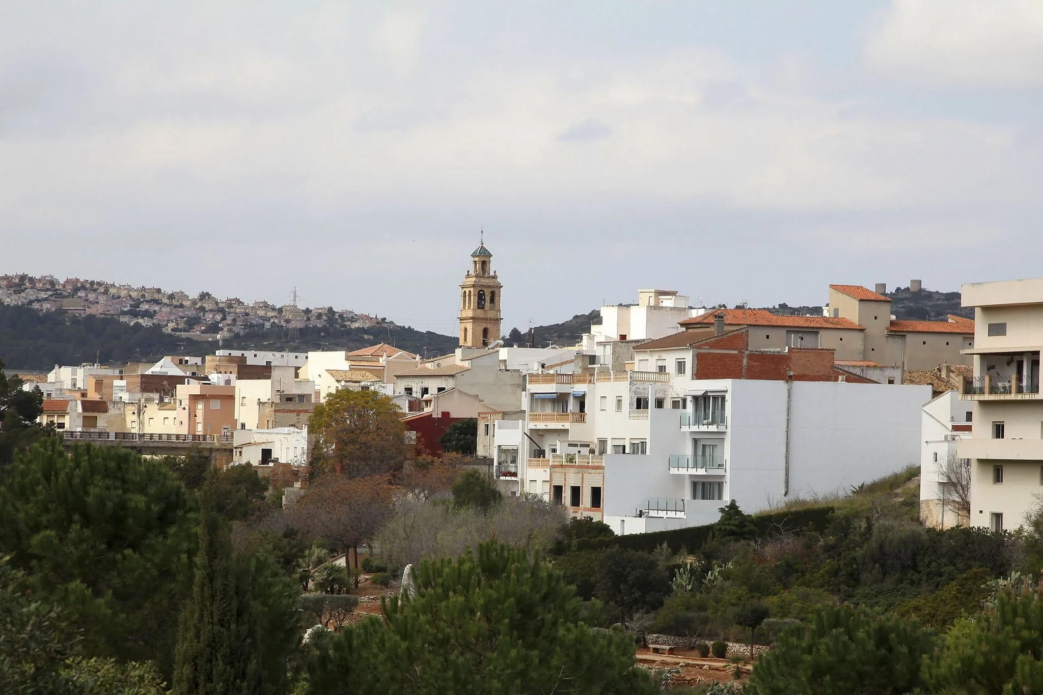 vista de gata de gorgos