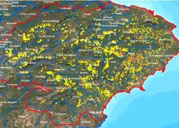 Zona demarcada con Xylella fastidiosa subespecie multiplex en las tras comarcas