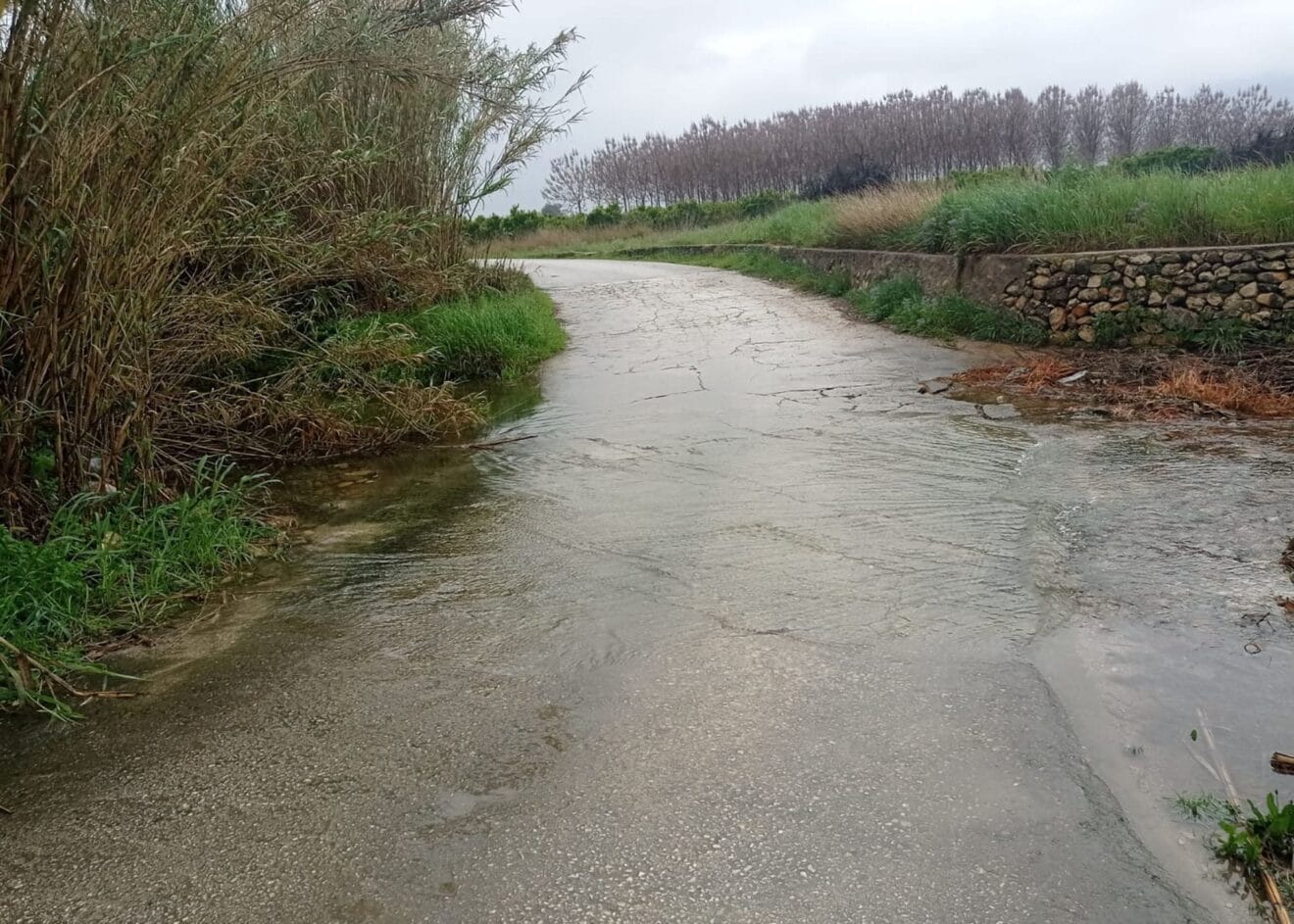 Barranc de Trullens del río Girona