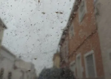 Barro tras las lluvias