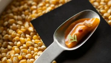 Cocina sin fronteras en el centro de Dénia