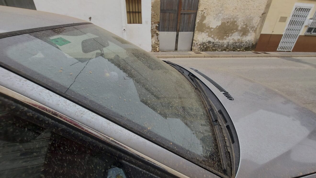 Consecuencias de las lluvias de 'sangre'