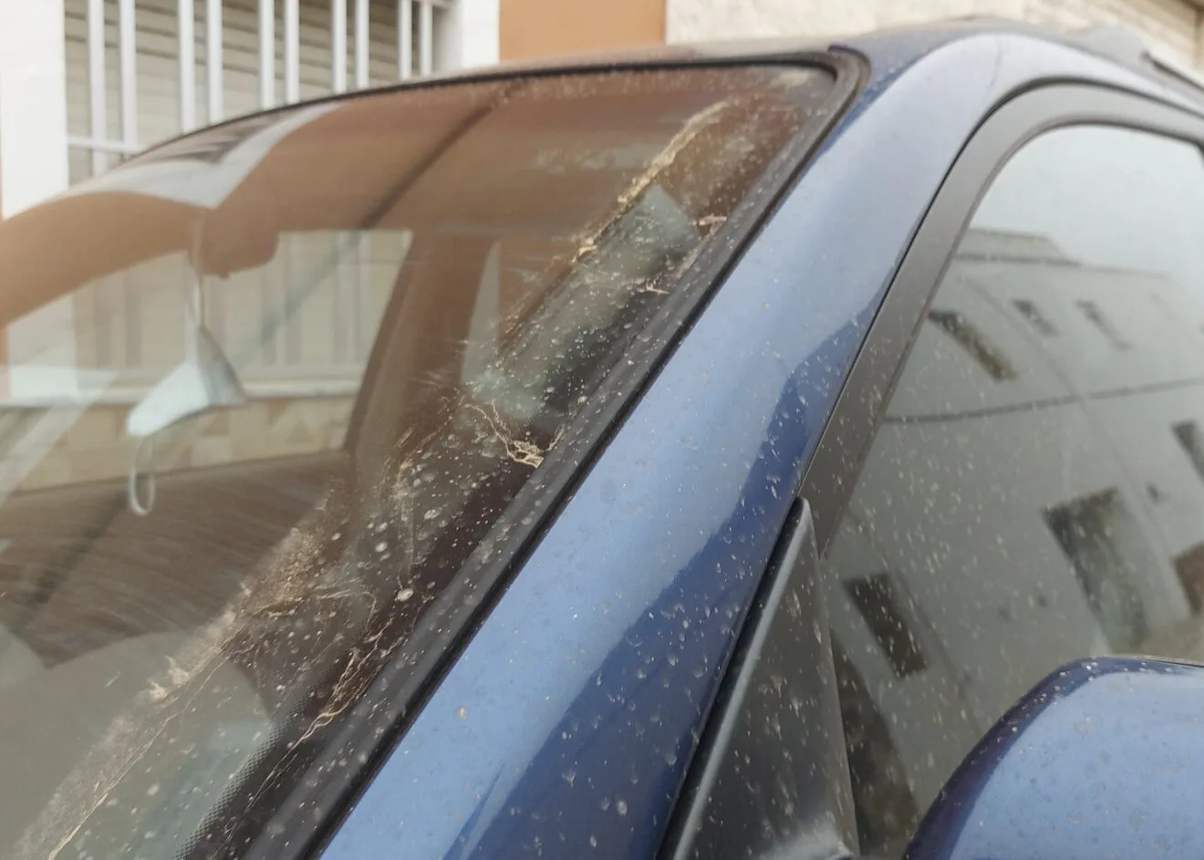 Efectos de las lluvias de 'sangre'
