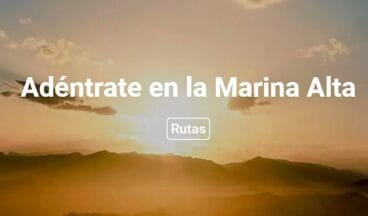 nueva web de passport marina alta