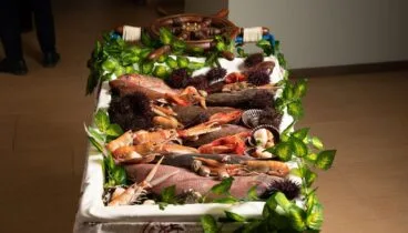Pescado fresco de la bahía de Dénia Restaurante Fernando