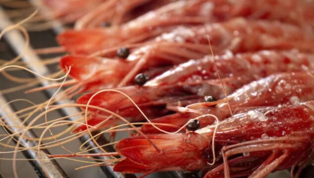 sabores del mediterraneo con presentacion cuidada en javea