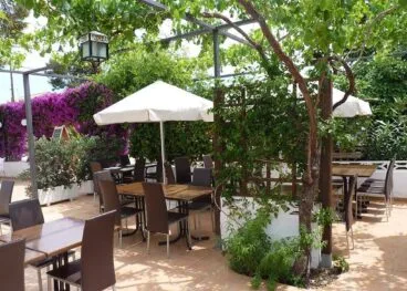 Terraza del Pont Sec