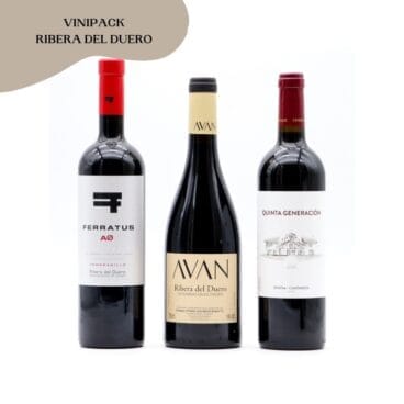 Vinipack Ribera del Duero – Vinivars