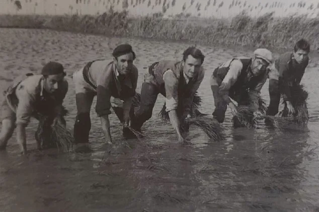 Imagen: Riberers de Benissa