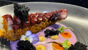 Alta cocina con emplatados sorprendentes