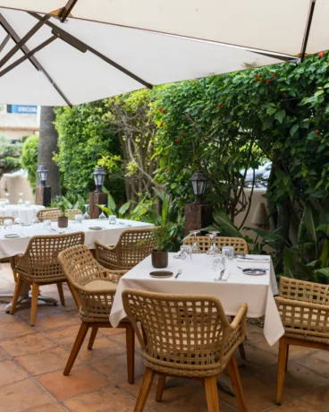Cálida terraza ajardinada