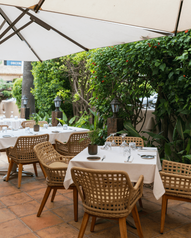calida terraza ajardinada