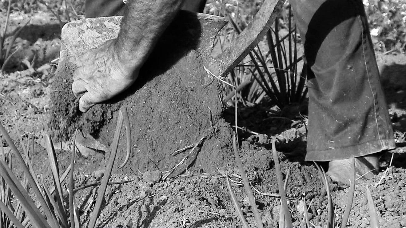 Fragmento del documental