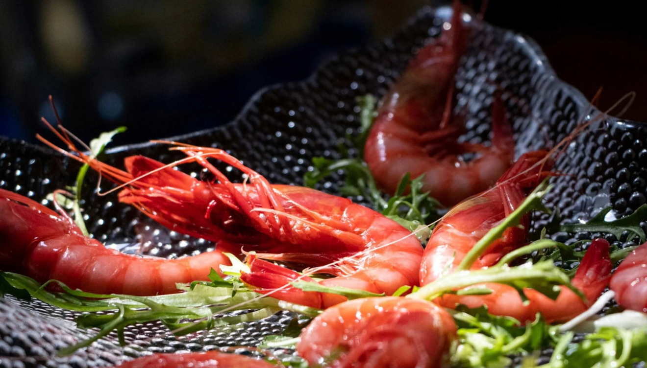 Gamba roja de Dénia fresca de la lonja local