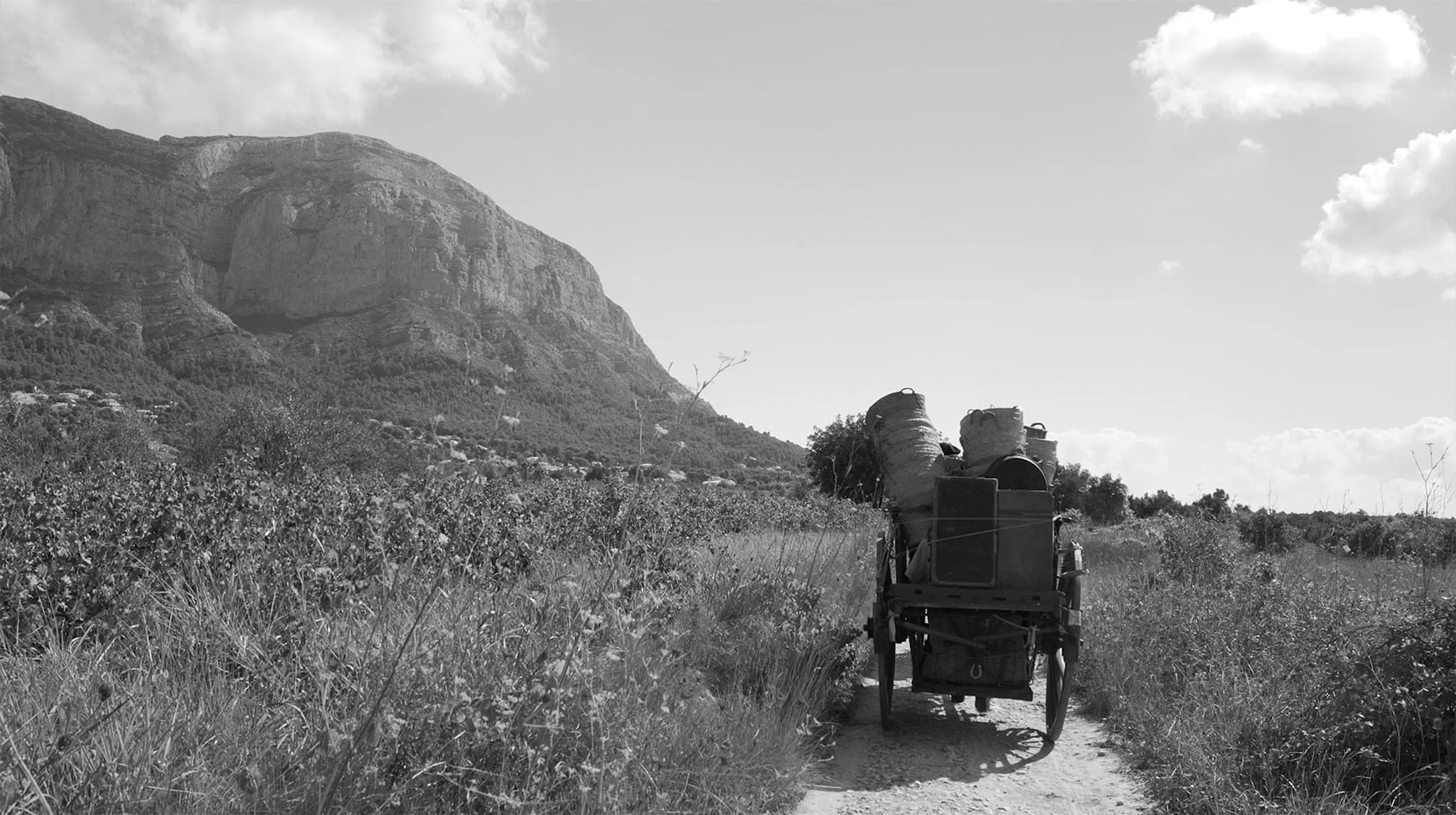 imagen del documental venim de lluny