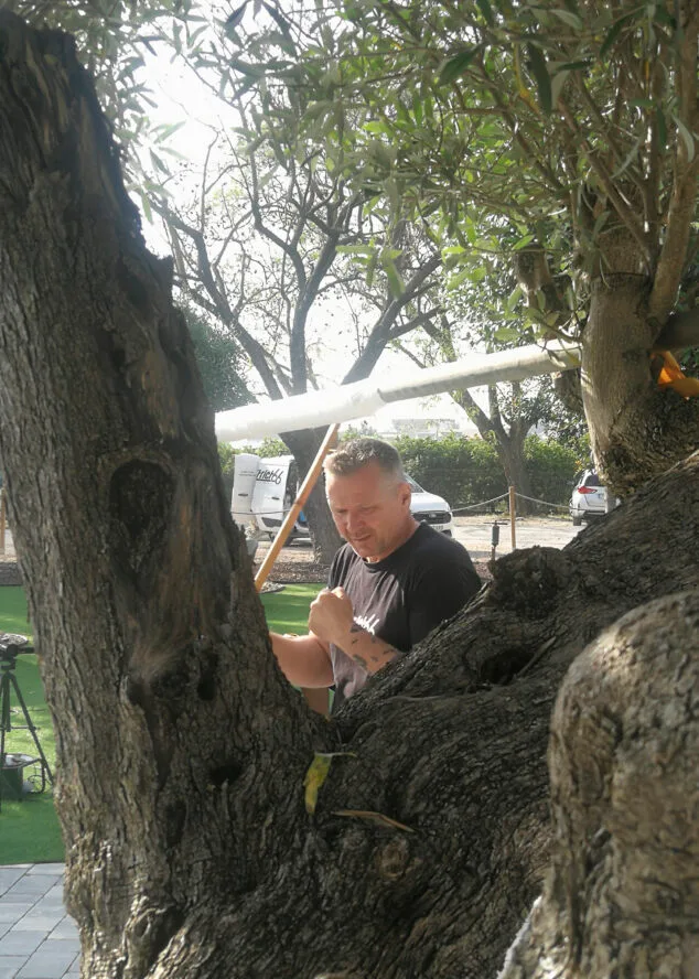 intento de record guinness en beniarbeig