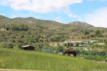 Paisaje desde el restaurante Vall de Cavall