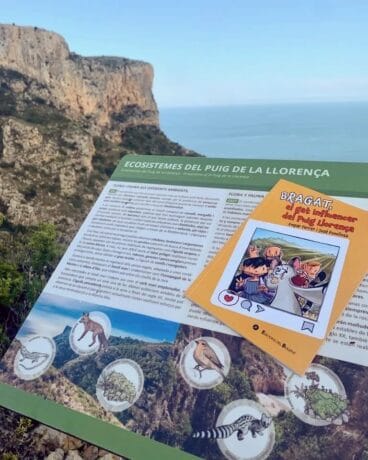 Peluix amb paissatge