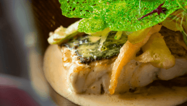 Platos originales de elaboración tradicional francesa y fusión