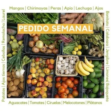 Haz tu pedido de compra semanal en Ecosomnis
