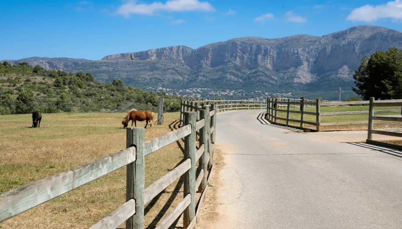 Restaurante en mitad de la naturaleza con caballos