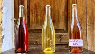 Vinos tinto, blanco y rosado naturales
