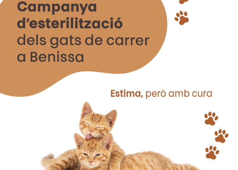 Campaña de esterilización de gatos callejeros en Benissa