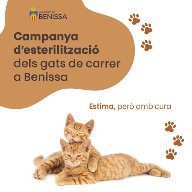 Benissa destinará 9.000 euros a la esterilización de 150 gatos callejeros 1 Imagen: Campaña de esterilización de gatos en Benissa