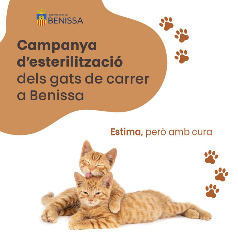 Campaña de esterilización de gatos en Benissa