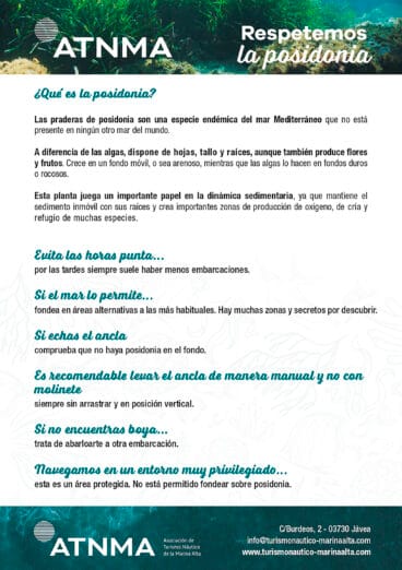 Claves de ‘Respetemos la Posidonia’