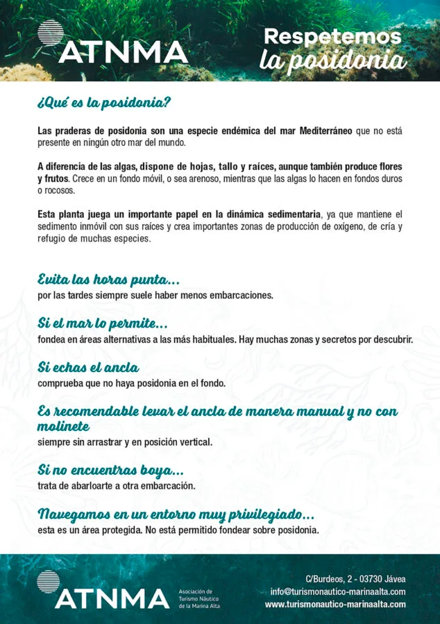 Imagen: Claves de 'Respetemos la Posidonia'