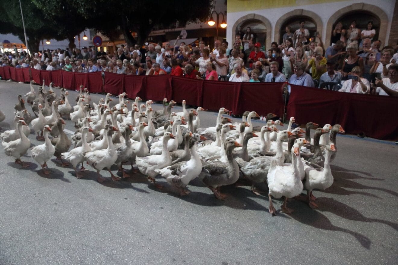 Moros y Cristianos Moraira 2022 - Ajuntament Teulada-Moraira28