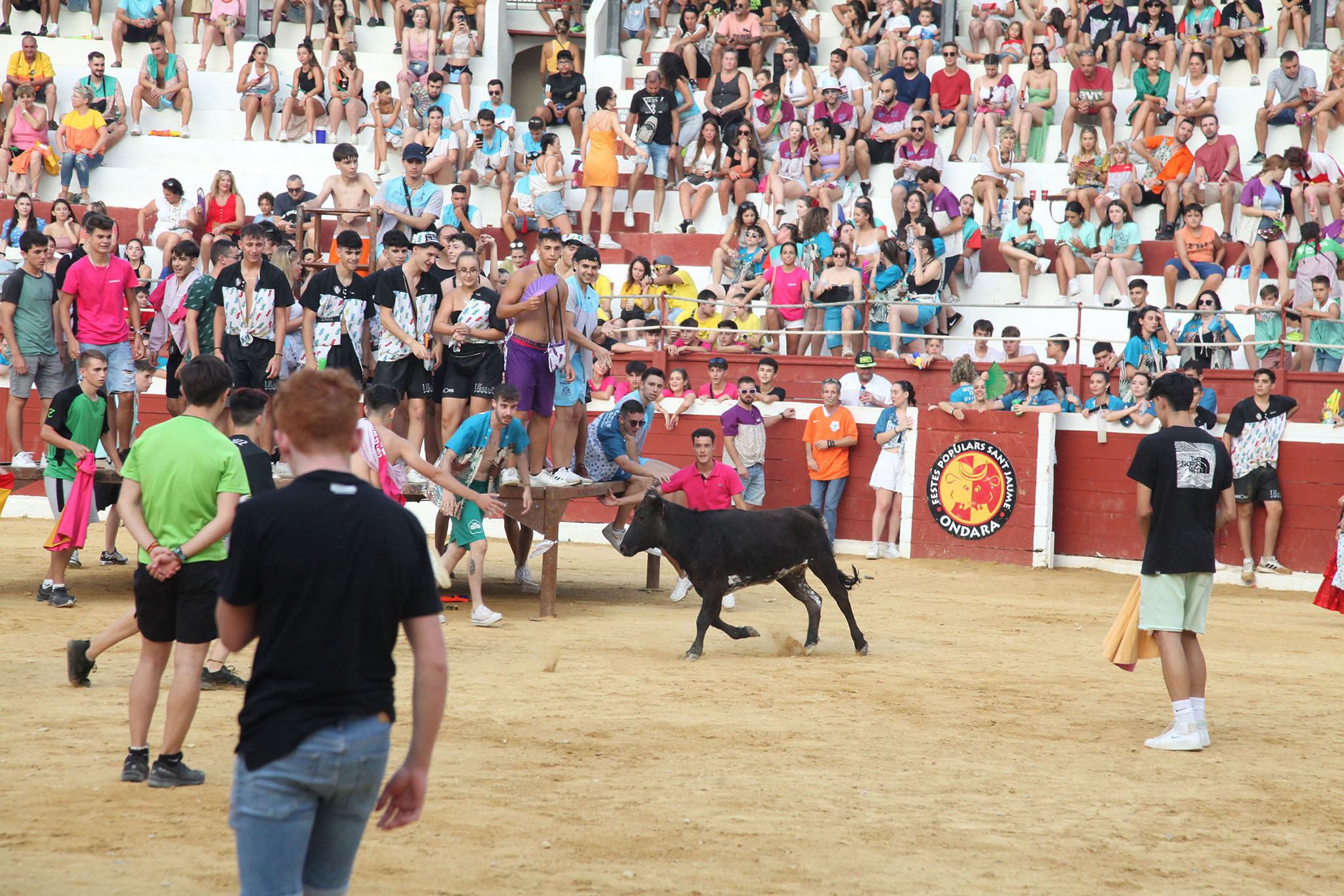 Peñas y quintadas en la plaza de toros de Ondara el día de Sant Jaume en 2022