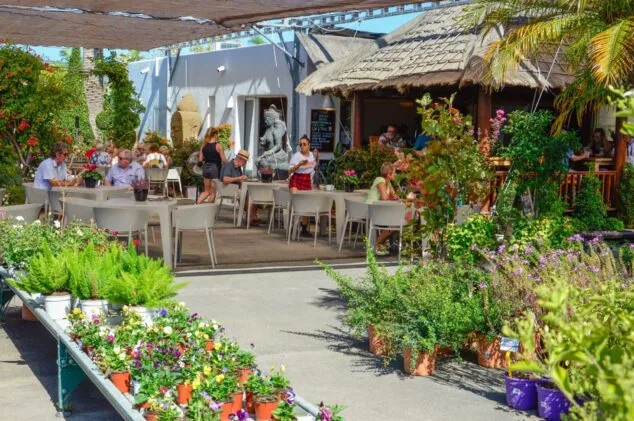 Los mejores chiringuitos y terrazas de la Marina Alta con Solete de verano de la Guía Repsol 7 Imagen: Bali Café en el vivero Montgó Verd de Xàbia