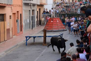 Bous al carrer en las fiestas en honor a Santa María Magdalena de Benitatxell en 2014