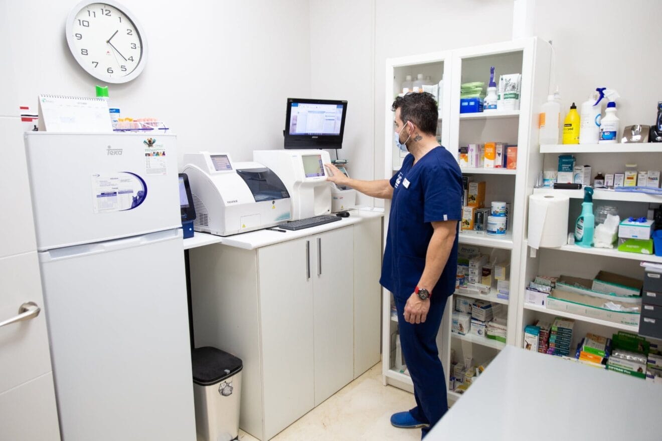 Centro totalmente equipado – Centro Veterinario Animalets