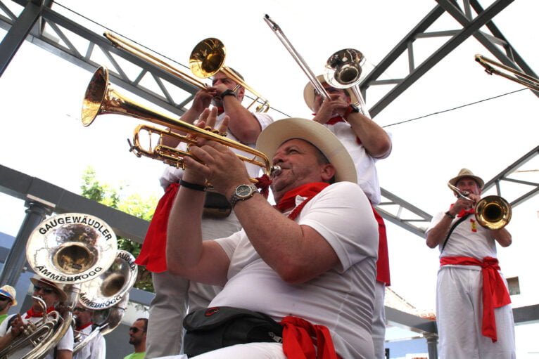 Día de las quintadas en las Fiestas de Julio de Pedreguer 37