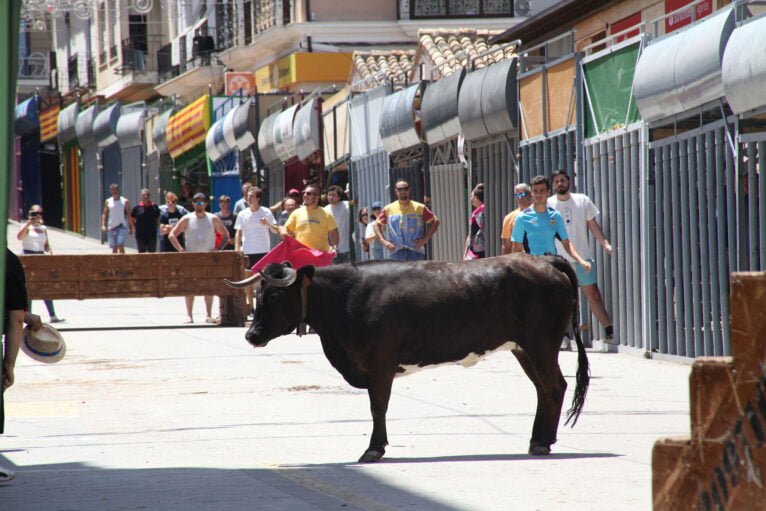 Día de las quintadas en las Fiestas de Julio de Pedreguer 88