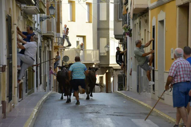 Imagen: Entrada de bous al carrer en las fiestas patronales de Benitatxell 2014