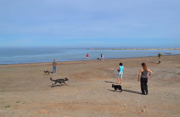 Imagen: Gente paseando a sus perros en la playa para mascotas de Dénia