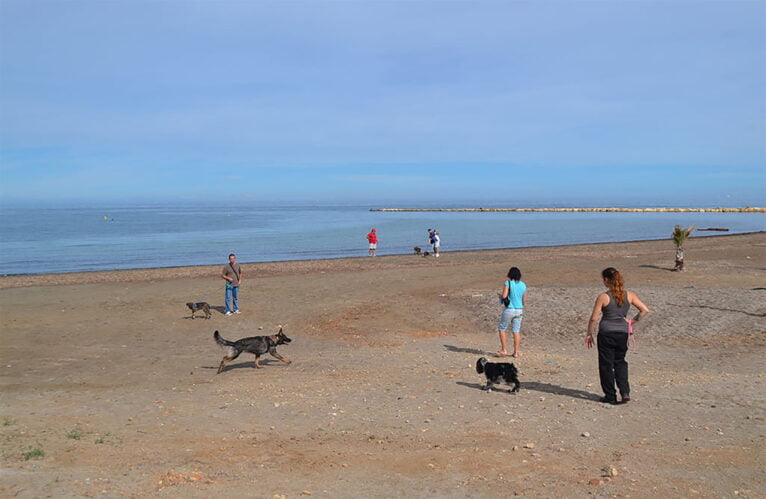 Gente paseando a sus perros en la playa para mascotas de Dénia