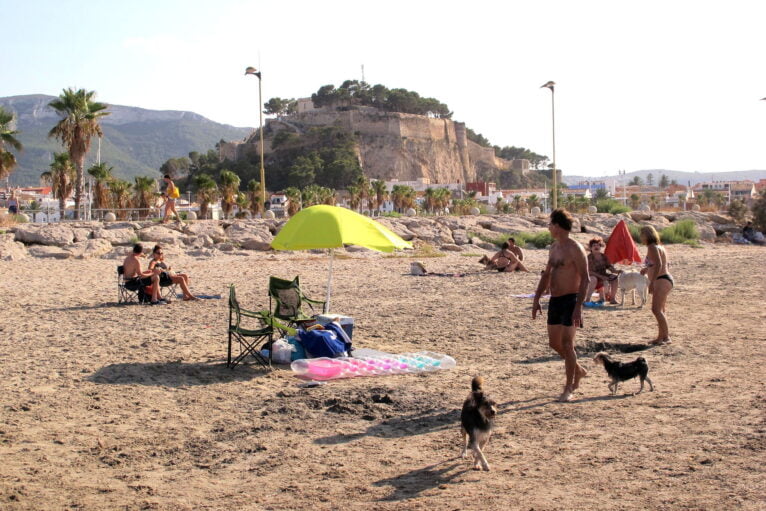 Mascotas disfrutando de la playa en Dénia