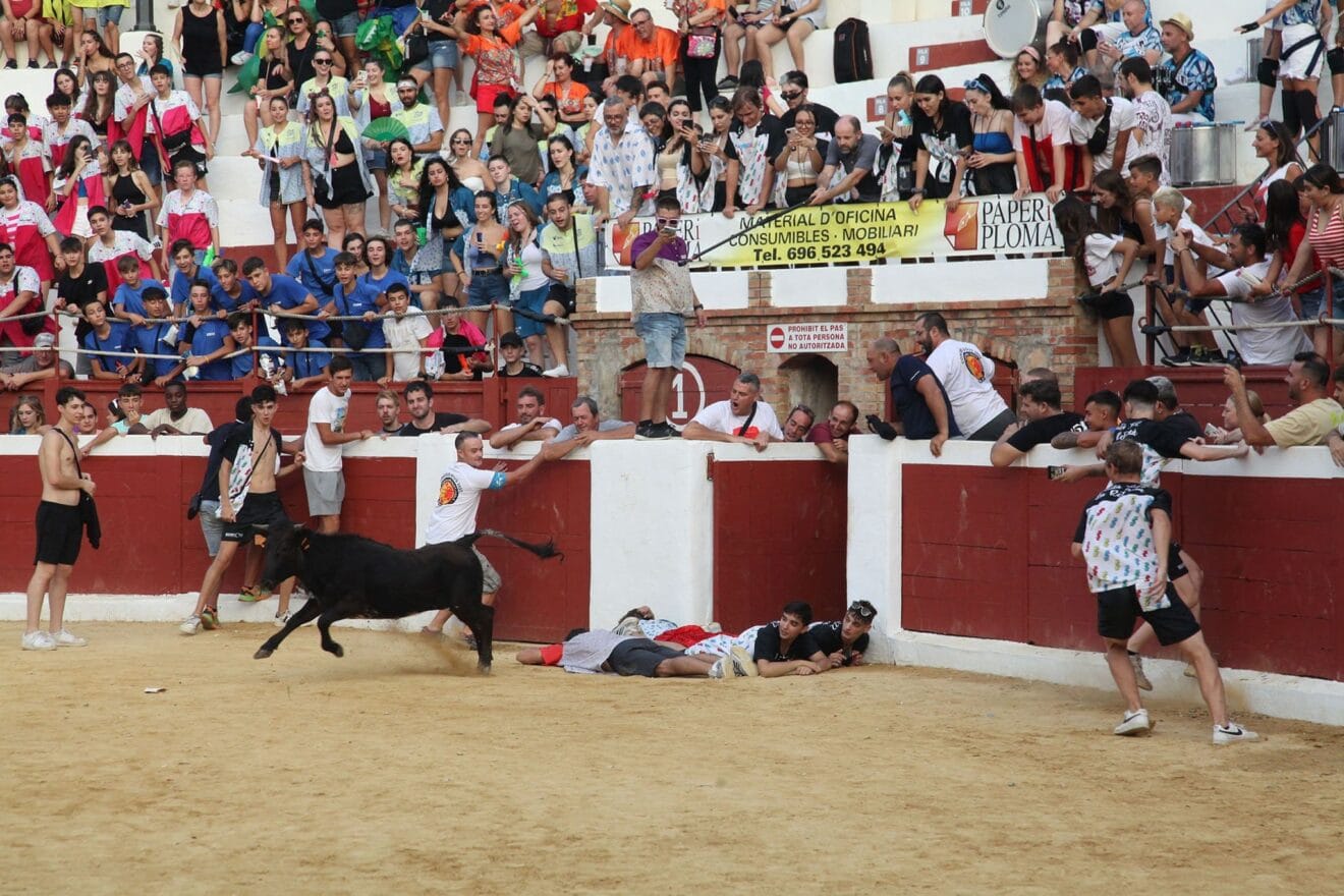 Peñas y quintadas en las fiestas de Sant Jaume de Ondara 07
