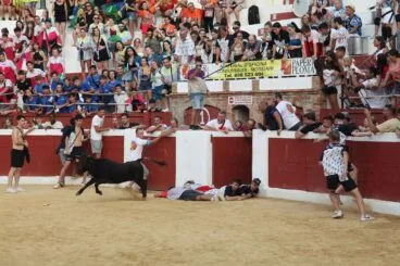 Peñas y quintadas en las fiestas de Sant Jaume de Ondara 07