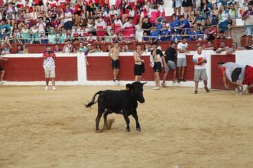 Peñas y quintadas en las fiestas de Sant Jaume de Ondara 08