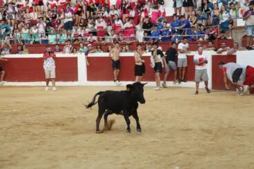 Peñas y quintadas en las fiestas de Sant Jaume de Ondara 08